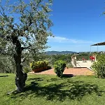 Olivella E Oleandra *