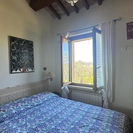 Olivella E Oleandra Ginestra Sabina