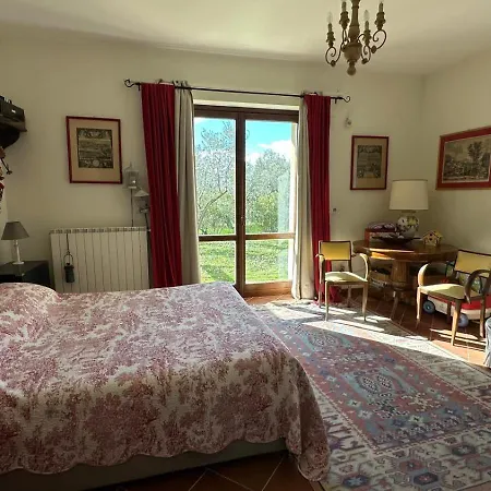 Olivella E Oleandra *