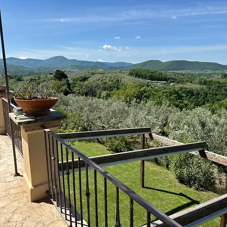 Olivella E Oleandra