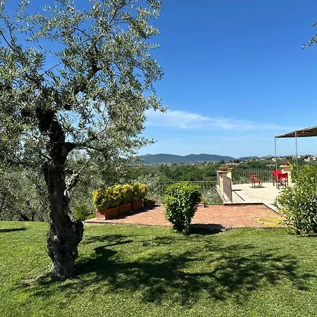 Olivella E Oleandra *
