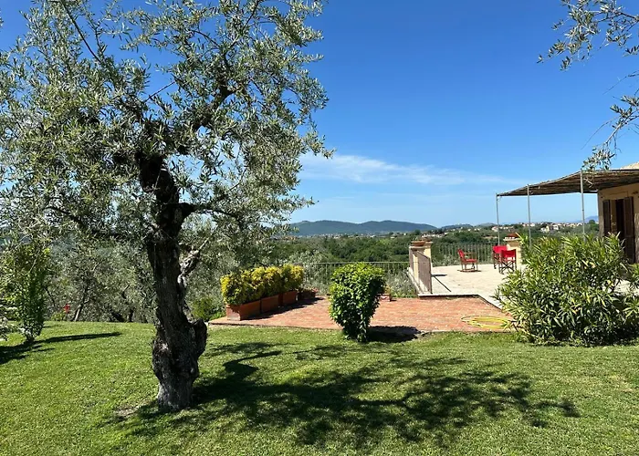 Olivella E Oleandra *